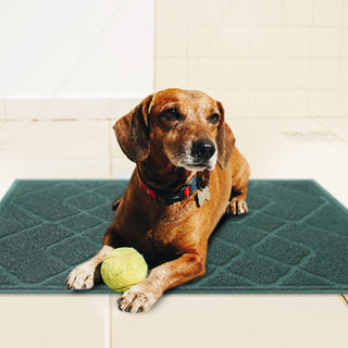 Dog Training Mat | Display | Weidan