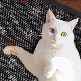 Cat Scratch Pads | Display | Weidan