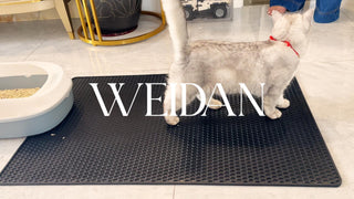 Cat Litter Mat | Weidan