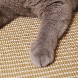 Scratch Pad Cat | Detail | Weidan