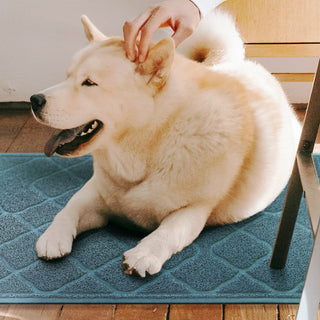 Pets Mats | Weidan