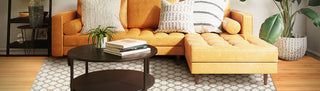 Living Room Area Rug | Rug Supplier | Weidan