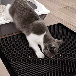 Cat Litter Trapper Mat | Display | Weidan